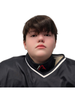 Гусинцев Лев