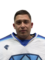 Косыгин Владислав