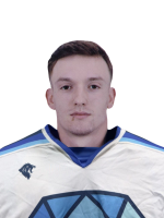 Гусаров Артём
