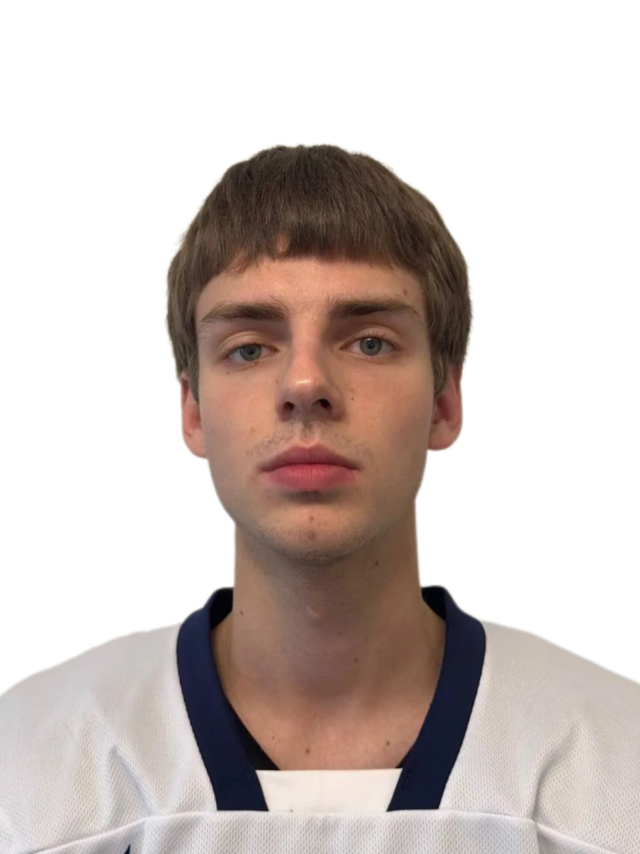 Мельников Алексей