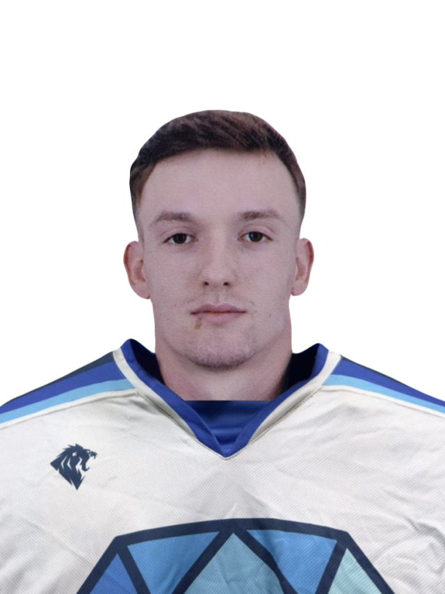Гусаров Артём